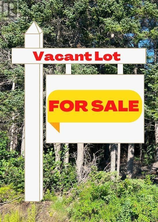 11 Barry's Island Road N, Avondale