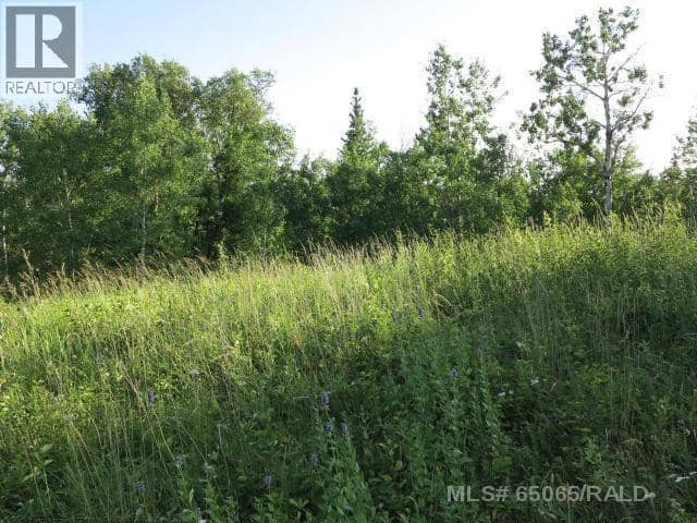Lot 12 Blk 1 LAKESIDE Drive, Perch Lake, photo 3