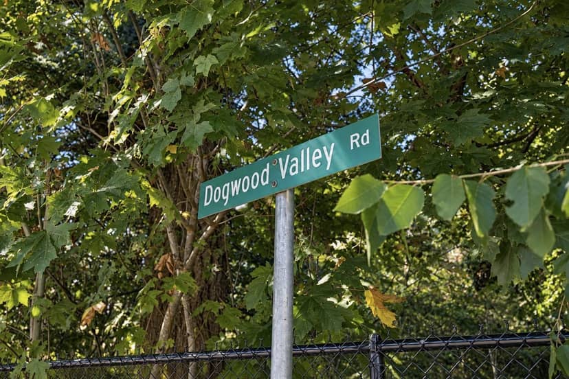 26793 DOGWOOD VALLEY ROAD, Yale "“ Dogwood Valley, Hope, photo 8