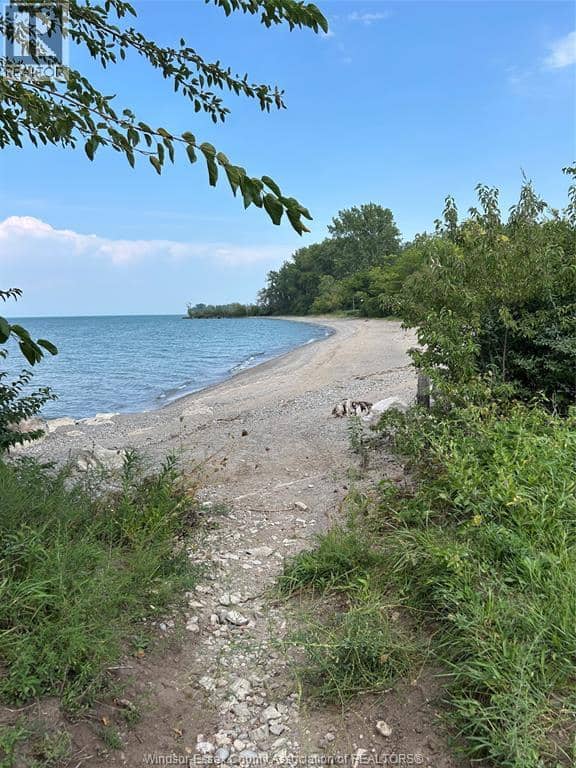 131 Harris Garno, Pelee Island, photo 3