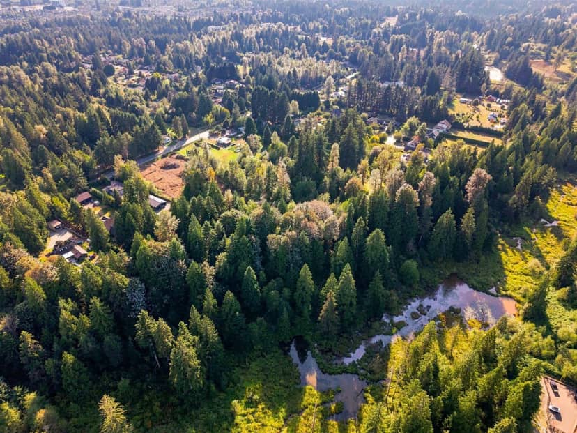33181 DEWDNEY TRUNK ROAD, Mission, photo 8