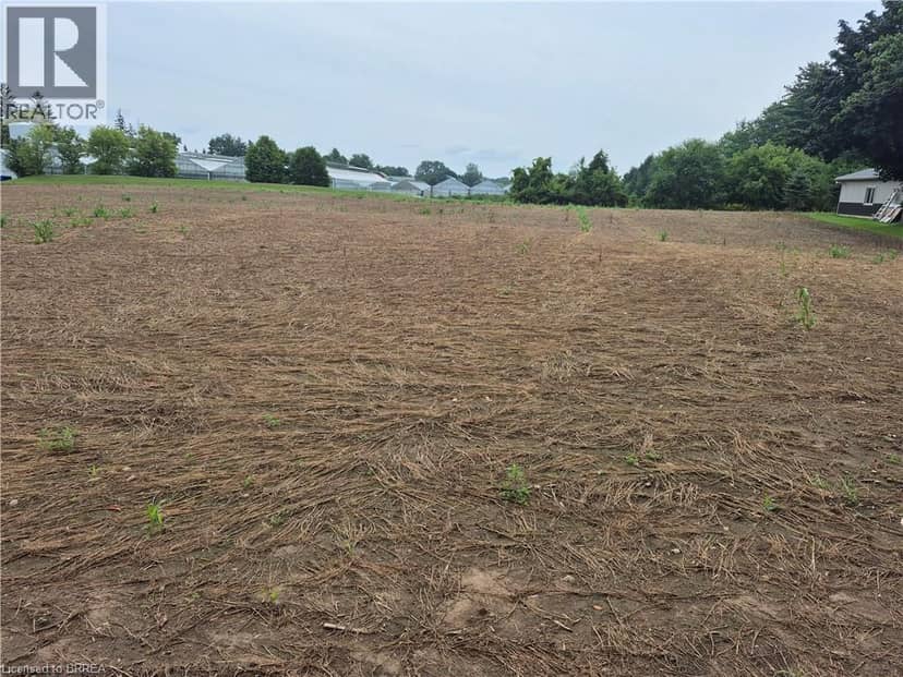 1 SEVENTH CONCESSION Road, Burford, photo 2