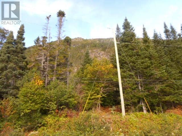 00 Route 391-10, Rattling Brook, photo 3
