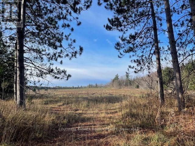 3678 McCarthy Drive, Clearview, photo 5