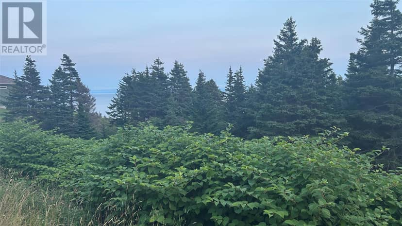 485 Oceanview Drive, Cape St. George, photo 3