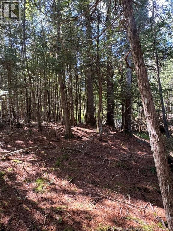342 Tripp Settlement Road, Keswick Ridge, photo 4