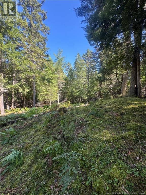342 Tripp Settlement Road, Keswick Ridge, photo 7