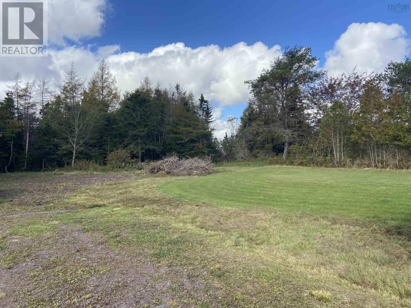 Lot Highway 320, Louisdale, photo 2