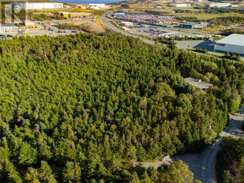 29 Walsh's Road, Logy Bay Middle Cove Outer Cove, photo 2