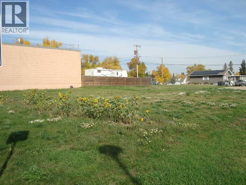 218 Main Street, Trochu, photo 2