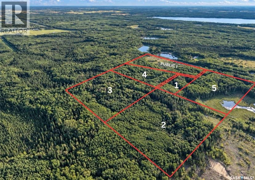 Boundary Road Land, Paddockwood Rm No. 520, photo 2