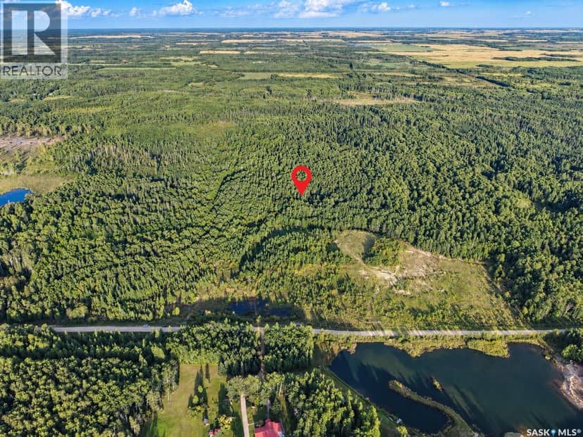 Boundary Road Land, Paddockwood Rm No. 520, photo 3