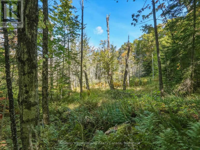 0 Bayview Acres, Lake of Bays, photo 8