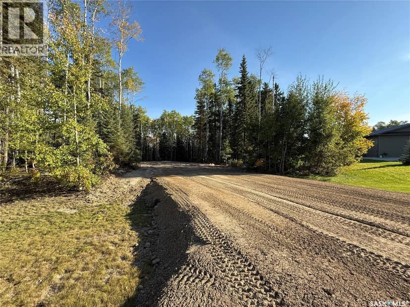 305 Meadow Ridge DRIVE, Candle Lake, photo 4