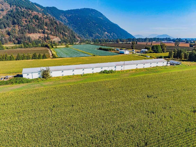 38620 NO. 4 ROAD, Abbotsford, photo 3