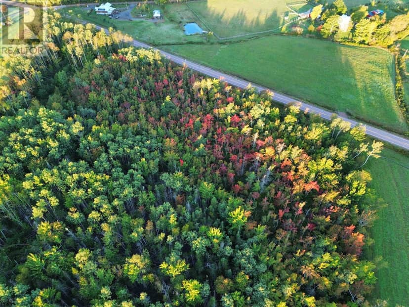 Highway 246, Tatamagouche, photo 2