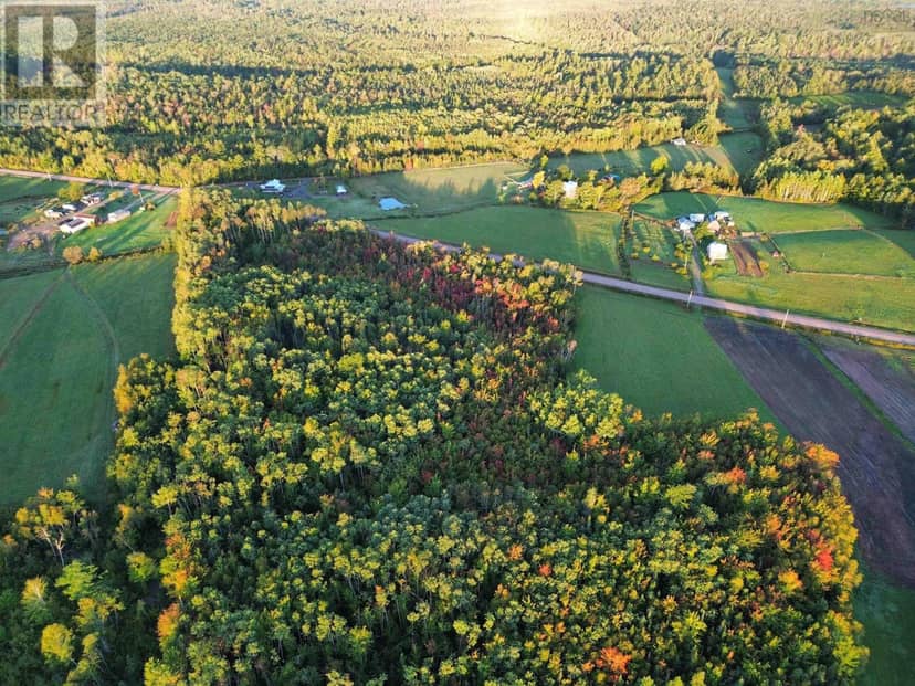 Highway 246, Tatamagouche, photo 7