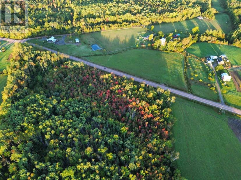 Highway 246, Tatamagouche, photo 8