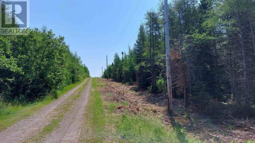 Lot 20 Helmuts Lane, Cleveland, photo 6