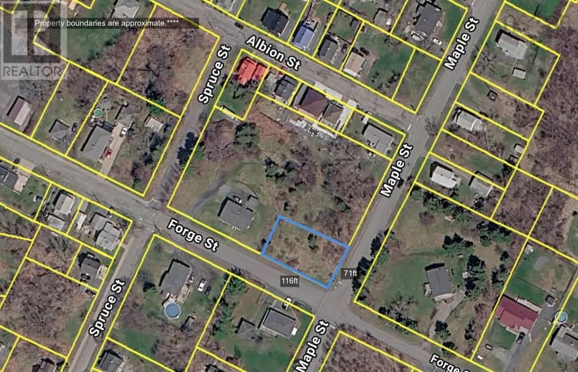 Lot Forge Street, Trenton, photo 8