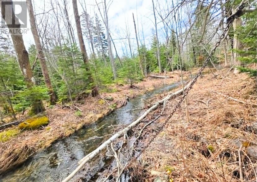 0 Upper Leitches Creek Road, Cape Breton, photo 5