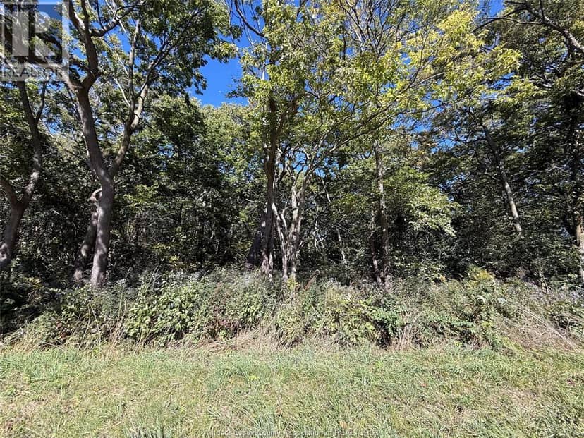 537 South Shore, Pelee Island, photo 6