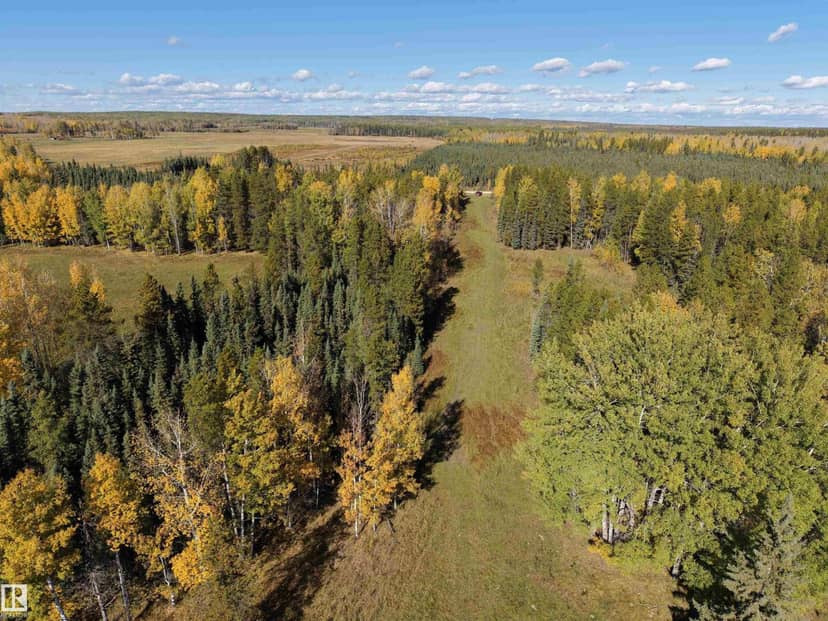 On RR90 & Twp Rd 503, Rural Brazeau County, photo 8