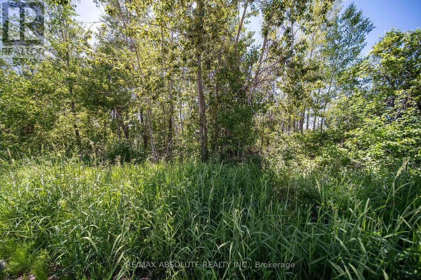 Part Lot 21 Concession 2 3 Road, North Stormont, photo 8