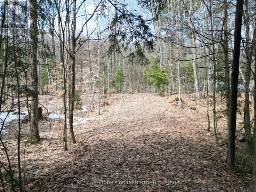1231 Big Hawk Lake Road, Algonquin Highlands, photo 2