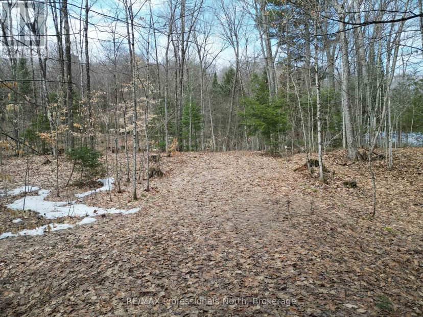 1231 Big Hawk Lake Road, Algonquin Highlands, photo 3