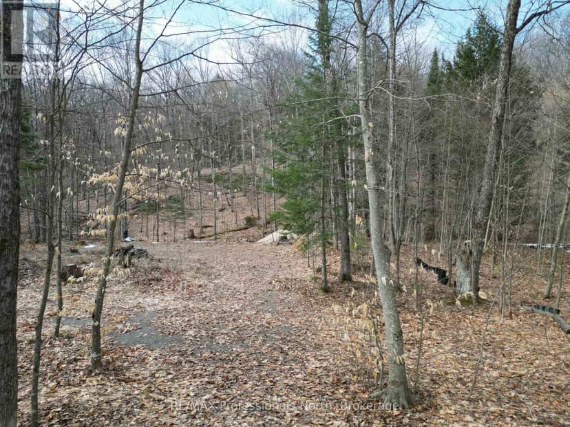1231 Big Hawk Lake Road, Algonquin Highlands, photo 4