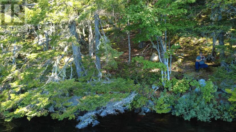 Lot Vinegar Lake, Hubbards, photo 6