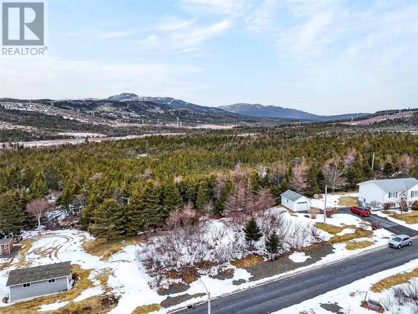 Lot 40 Shaheen Crescent, Come By Chance, photo 3