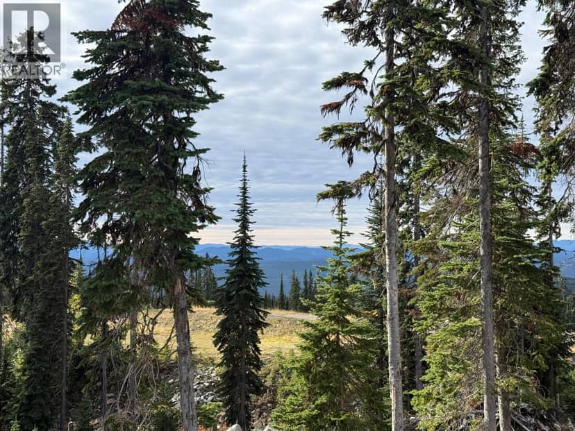 Black Forest Way Lot# 2, Big White, photo 8