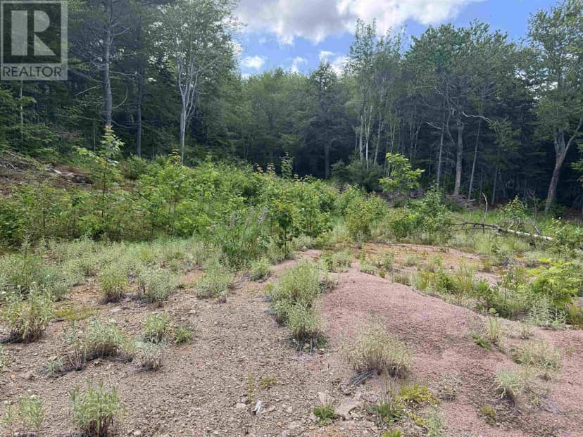 Lot 5 Cabot Trail, Ingonish, photo 7