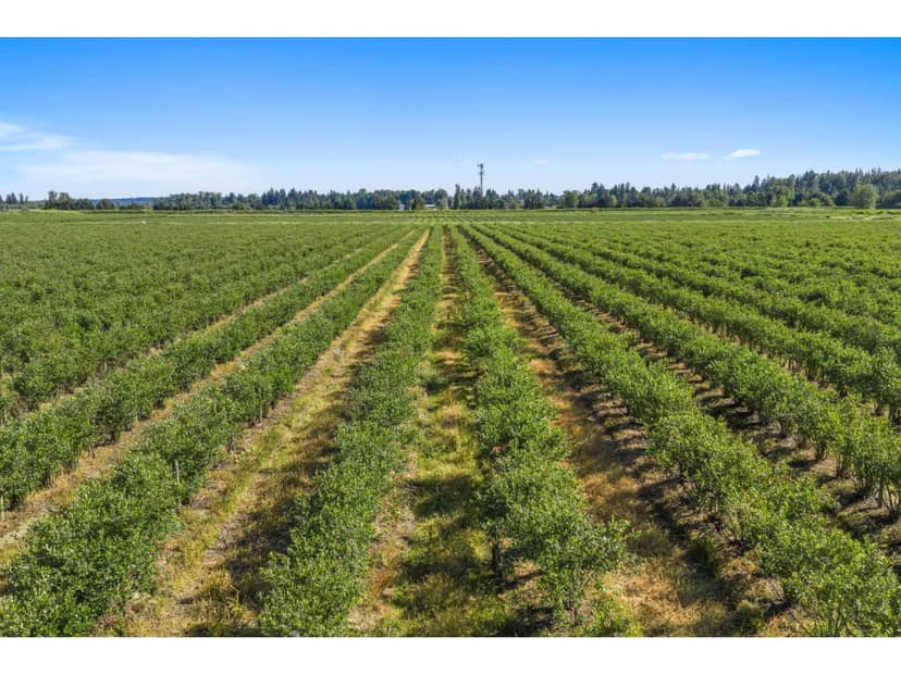 15683 64 AVENUE, Surrey