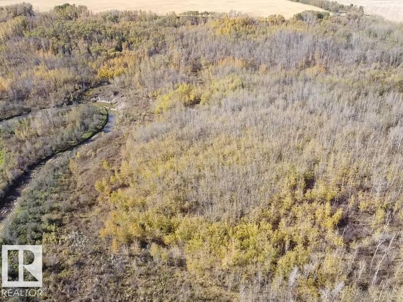 Twp Rd 460 and Rge Rd 230, Rural Wetaskiwin County, photo 7
