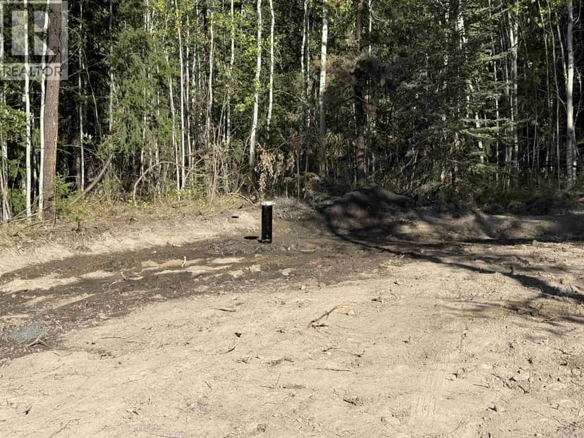 PROP LOT 2 BUTTE ROAD, 100 Mile House, photo 2
