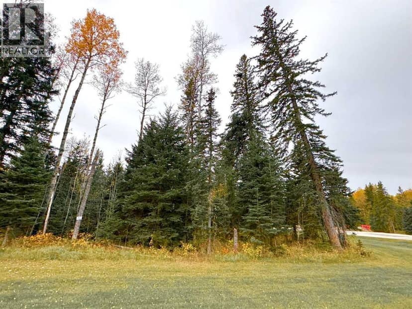 201 High Timber Place, Rural Clearwater County, photo 5