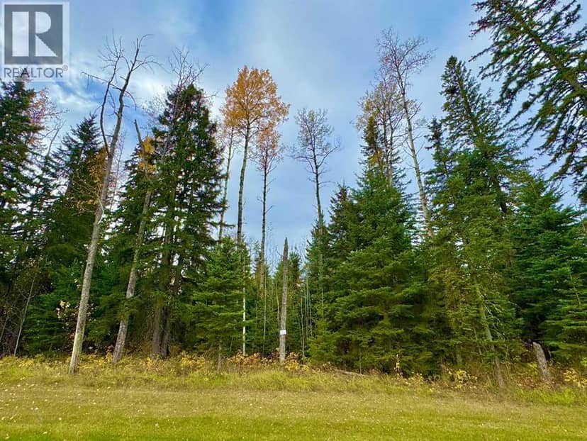 201 High Timber Place, Rural Clearwater County, photo 6