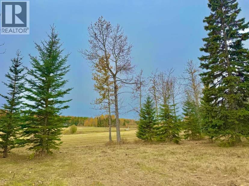 409 Valley View Close, Rural Clearwater County, photo 7