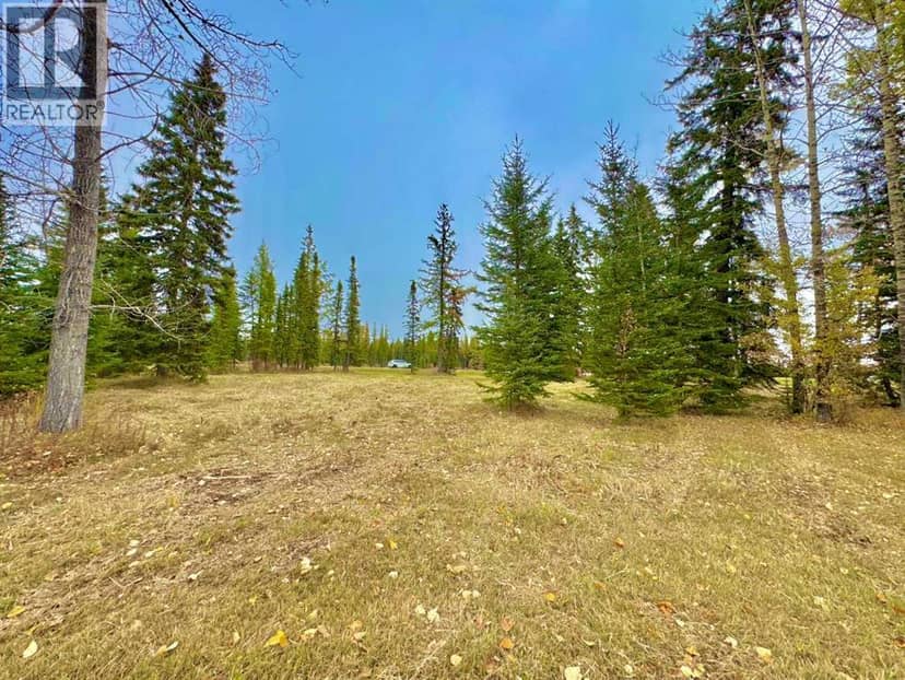 409 Valley View Close, Rural Clearwater County, photo 4