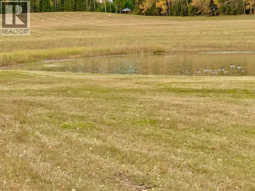 409 Valley View Close, Rural Clearwater County, photo 6