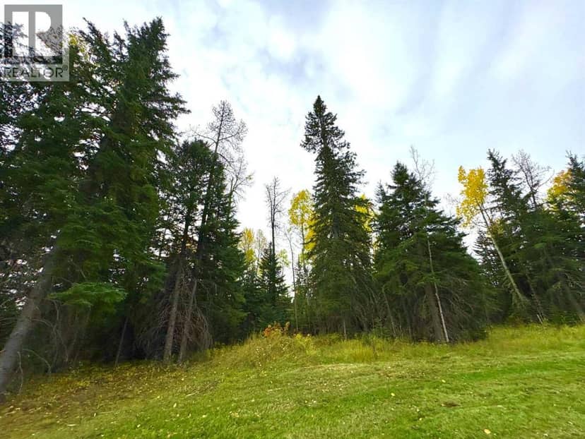 111 Meadow Ponds Drive, Rural Clearwater County, photo 2