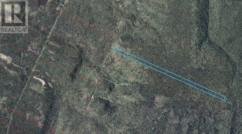 Cabot Trail, Cap Le Moine, photo 6