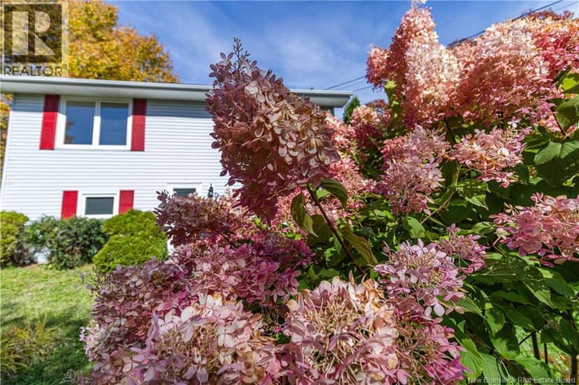 10 Birch Lane, Willow Grove, photo 3