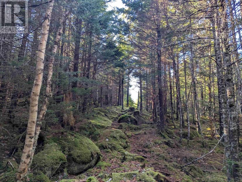 Lot 2-B 91 Old Halifax Road, Lot 2-B, Glen Haven, photo 2