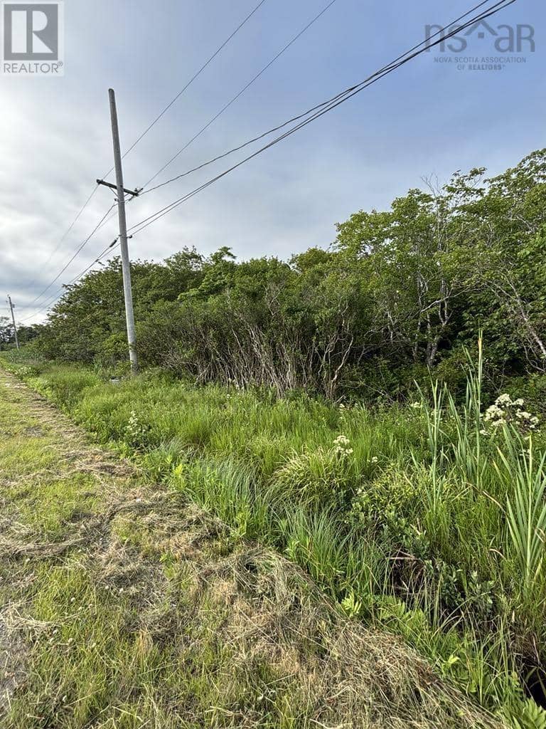 Highway 1, Church Point, photo 6