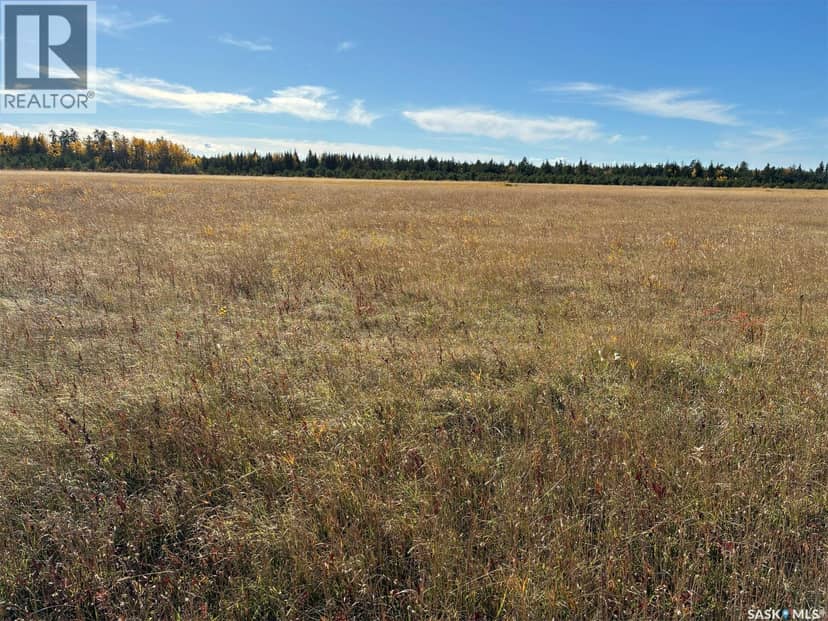 Lariviere Land 86.15 Acres, Meadow Lake Rm No.588, photo 4