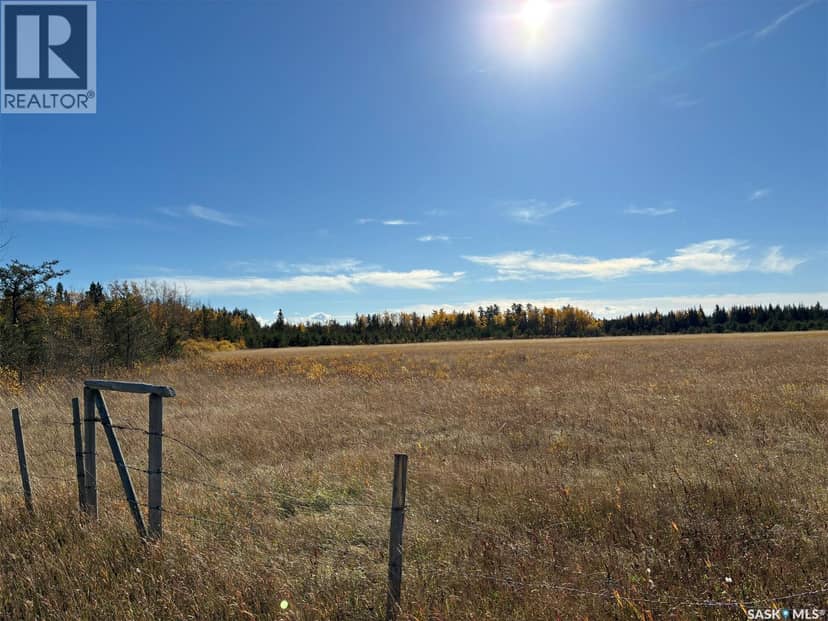 Lariviere Land 86.15 Acres, Meadow Lake Rm No.588, photo 3
